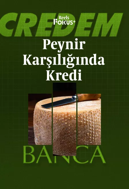 Peynir Karşılığında Kredi