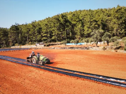 Muğla’da Küçük Parçalı Araziler, 12 Ay Boyunca Çilek Üretimiyle Ekonomiye Kazandırılıyor