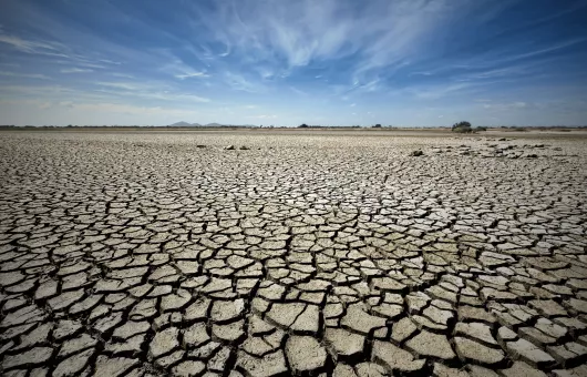 El Nino Olgusunun Yaşanması Normal Mi