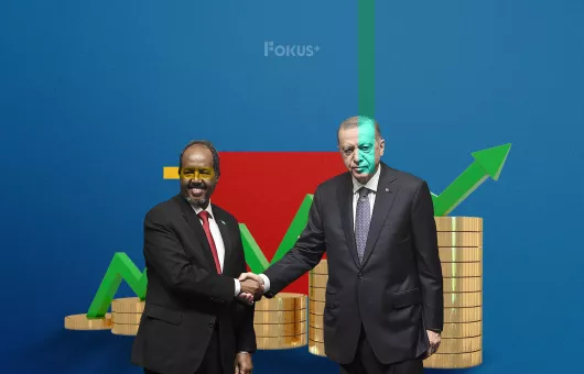 Türkiye- Somali Denizcilik Anlaşması ve Afrika Boynuzu Açısından Önemi