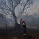 Dünya Genelinde Orman Yangınlarına Müdahaleler Sürüyor